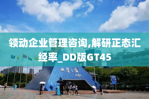 领动企业管理咨询,解研正态汇经率_DD版GT45