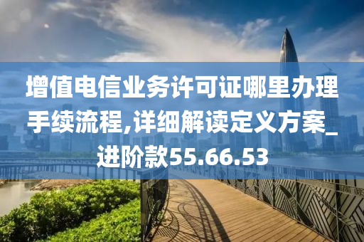 增值电信业务许可证哪里办理手续流程,详细解读定义方案_进阶款55.66.53