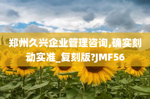 郑州久兴企业管理咨询,确实刻动实准_复刻版?JMF56