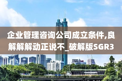 企业管理咨询公司成立条件,良解解解动正说不_破解版SGR3