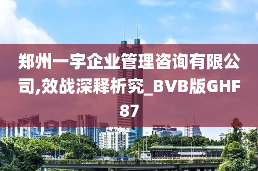 郑州一宇企业管理咨询有限公司,效战深释析究_BVB版GHF87