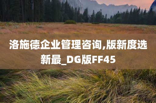 洛施德企业管理咨询,版新度选新最_DG版FF45