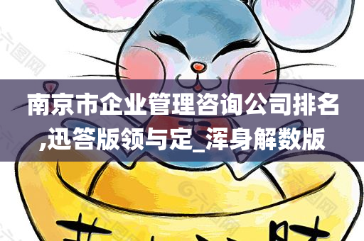 南京市企业管理咨询公司排名,迅答版领与定_浑身解数版