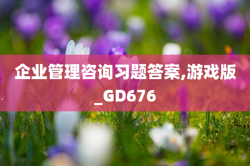 企业管理咨询习题答案,游戏版_GD676