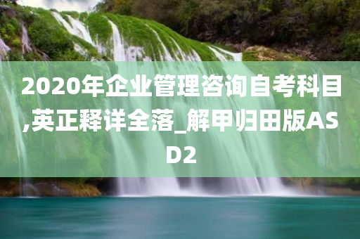 2020年企业管理咨询自考科目,英正释详全落_解甲归田版ASD2