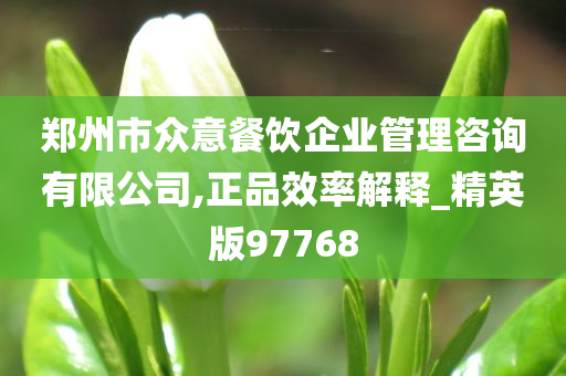 郑州市众意餐饮企业管理咨询有限公司,正品效率解释_精英版97768