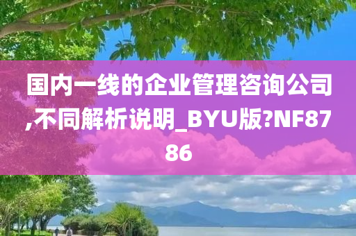 国内一线的企业管理咨询公司,不同解析说明_BYU版?NF8786