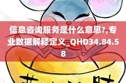 信息咨询服务是什么意思?,专业数据解释定义_QHD34.84.58