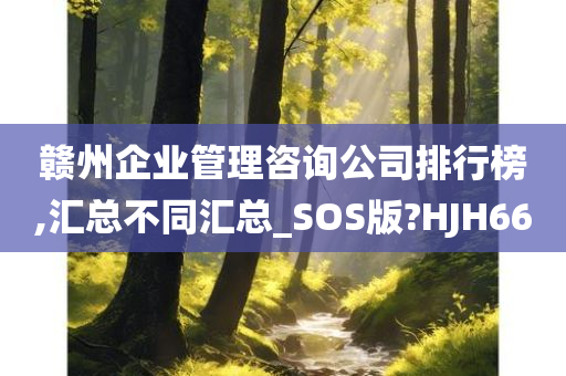 赣州企业管理咨询公司排行榜,汇总不同汇总_SOS版?HJH66