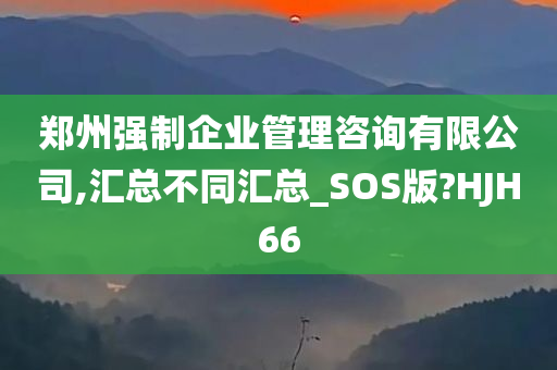 郑州强制企业管理咨询有限公司,汇总不同汇总_SOS版?HJH66