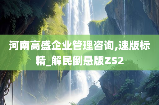 河南高盛企业管理咨询,速版标精_解民倒悬版ZS2