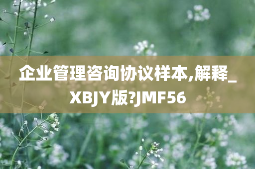 企业管理咨询协议样本,解释_XBJY版?JMF56