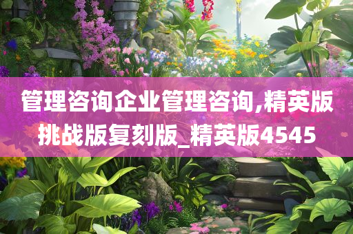 管理咨询企业管理咨询,精英版挑战版复刻版_精英版4545