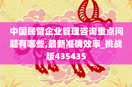 中国民营企业管理咨询重点问题有哪些,最新准确效率_挑战版435435