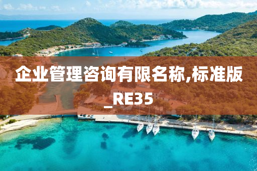 企业管理咨询有限名称,标准版_RE35