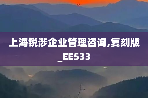 上海锐涉企业管理咨询,复刻版_EE533