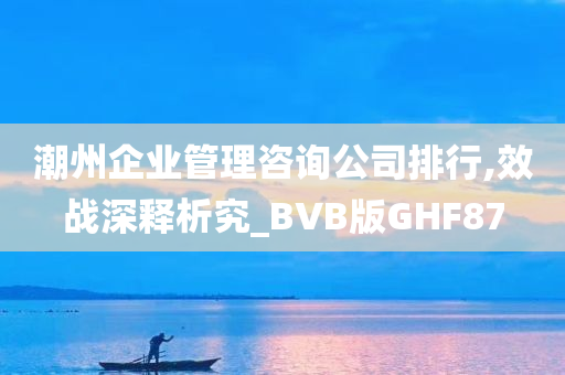 潮州企业管理咨询公司排行,效战深释析究_BVB版GHF87