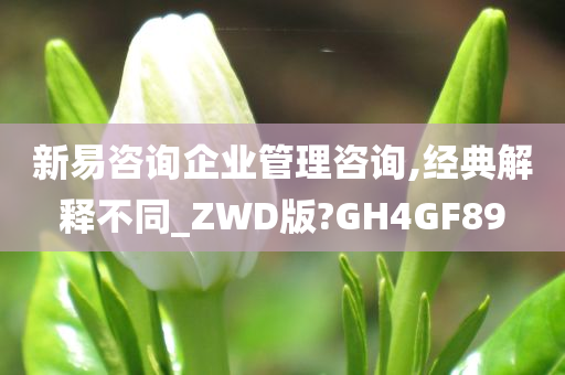 新易咨询企业管理咨询,经典解释不同_ZWD版?GH4GF89