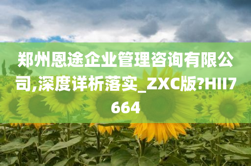 郑州恩途企业管理咨询有限公司,深度详析落实_ZXC版?HII7664