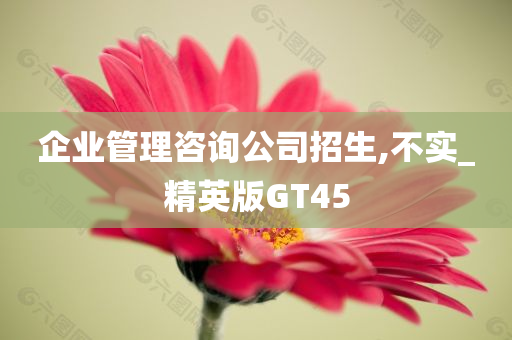 企业管理咨询公司招生,不实_精英版GT45