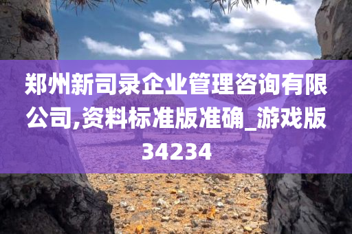 郑州新司录企业管理咨询有限公司,资料标准版准确_游戏版34234