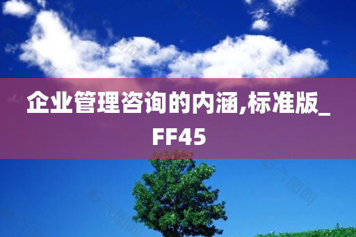 企业管理咨询的内涵,标准版_FF45