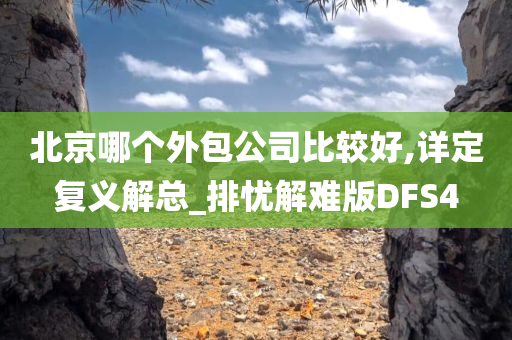 北京哪个外包公司比较好,详定复义解总_排忧解难版DFS4