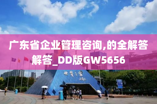 广东省企业管理咨询,的全解答解答_DD版GW5656