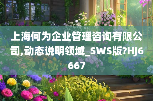 上海何为企业管理咨询有限公司,动态说明领域_SWS版?HJ6667