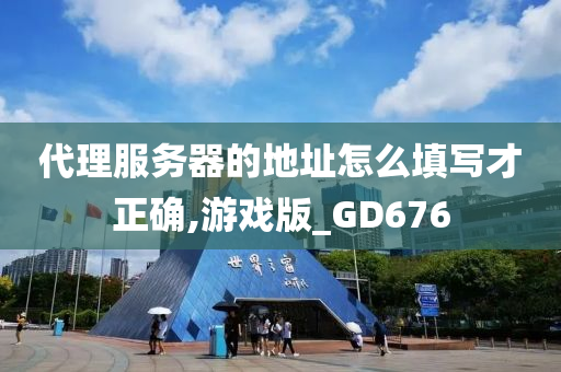 代理服务器的地址怎么填写才正确,游戏版_GD676