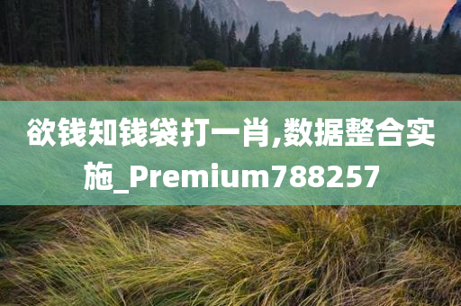 欲钱知钱袋打一肖,数据整合实施_Premium788257