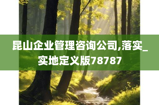 昆山企业管理咨询公司,落实_实地定义版78787