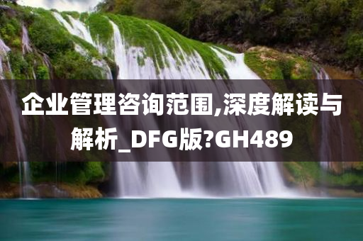 企业管理咨询范围,深度解读与解析_DFG版?GH489