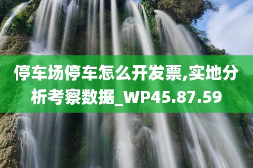 停车场停车怎么开发票,实地分析考察数据_WP45.87.59