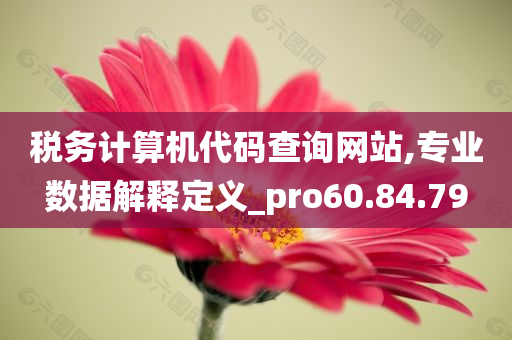 税务计算机代码查询网站,专业数据解释定义_pro60.84.79