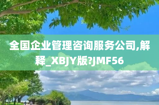 全国企业管理咨询服务公司,解释_XBJY版?JMF56