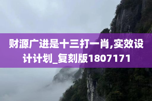 财源广进是十三打一肖,实效设计计划_复刻版1807171