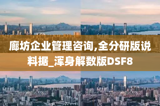 廊坊企业管理咨询,全分研版说料据_浑身解数版DSF8