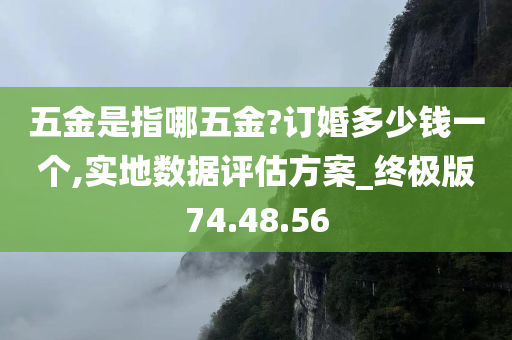 五金是指哪五金?订婚多少钱一个,实地数据评估方案_终极版74.48.56