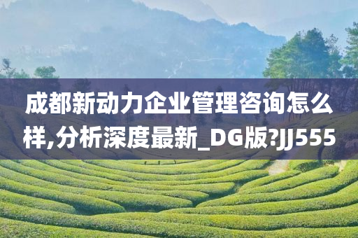 成都新动力企业管理咨询怎么样,分析深度最新_DG版?JJ555