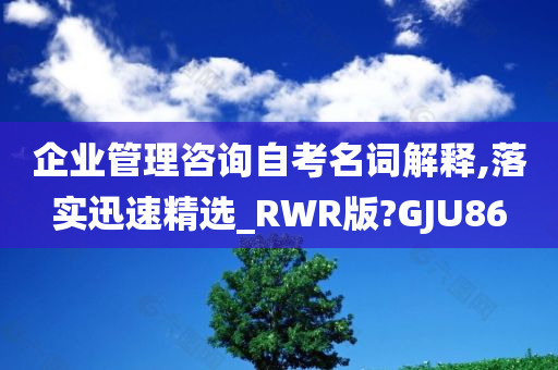 企业管理咨询自考名词解释,落实迅速精选_RWR版?GJU86