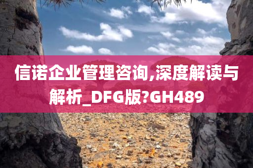 信诺企业管理咨询,深度解读与解析_DFG版?GH489