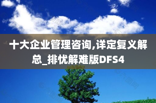 十大企业管理咨询,详定复义解总_排忧解难版DFS4