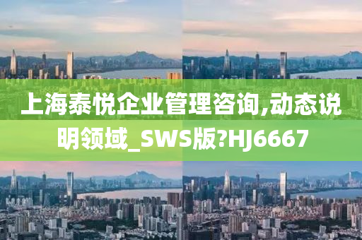 上海泰悦企业管理咨询,动态说明领域_SWS版?HJ6667