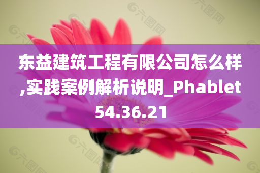 东益建筑工程有限公司怎么样,实践案例解析说明_Phablet54.36.21