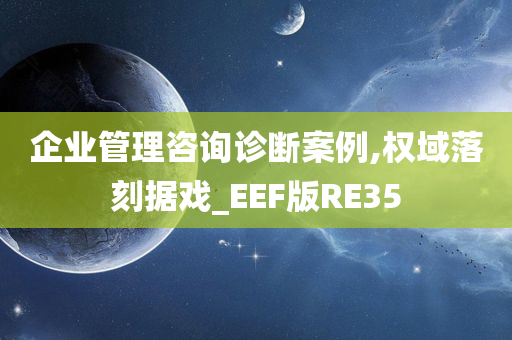 企业管理咨询诊断案例,权域落刻据戏_EEF版RE35