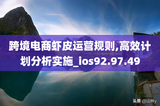 跨境电商虾皮运营规则,高效计划分析实施_ios92.97.49