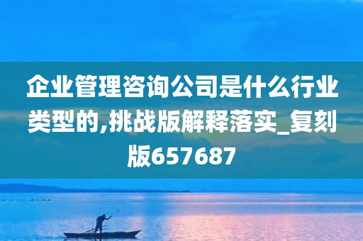 企业管理咨询公司是什么行业类型的,挑战版解释落实_复刻版657687