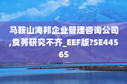 马鞍山海邦企业管理咨询公司,良莠研究不齐_EEF版?SE44565