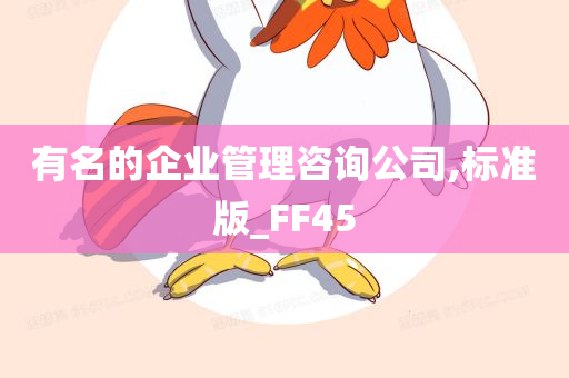 有名的企业管理咨询公司,标准版_FF45